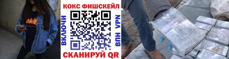 где продают наркотики  Кузнецк  Кокаин Fish Scale 